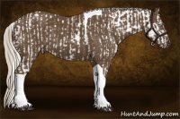 Horse Color:Cremello Tobiano Varnish and Silver Smoky Black Tobiano Rabicano