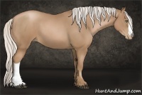 Horse Color:Silver Black Pearl