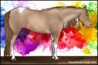 Horse Color:Liver Chestnut Pearl Tobiano 