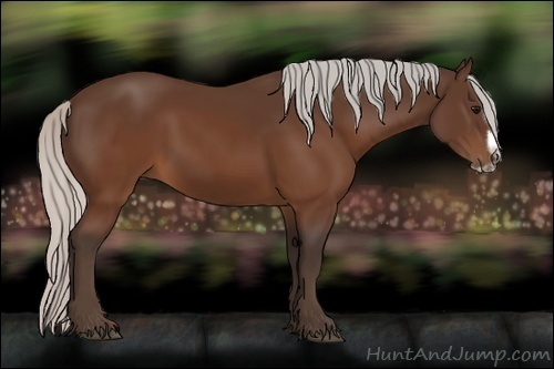 Horse Color:Silver Brown Splash Frame Rabicano 