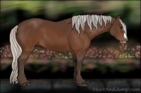 Horse Color:Silver Brown Splash Frame Rabicano