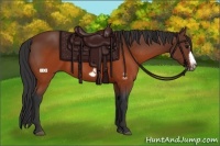 Horse Color:Brown Splash Frame Rabicano