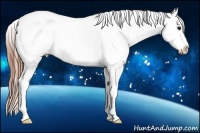 Horse Color:Black Ice Splash Frame Appaloosa 