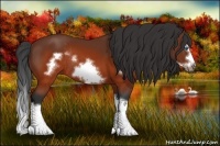 Horse Color:Brown Splash Frame Rabicano 