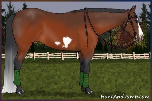 Horse Color:Brown Splash Frame Rabicano 