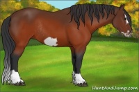 Horse Color:Brown Splash Frame Rabicano