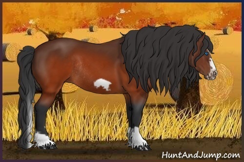 Horse Color:Brown Splash Frame Rabicano