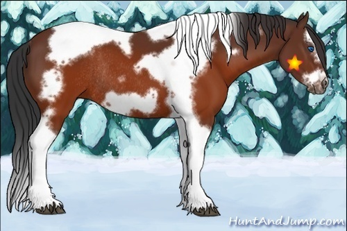 Horse Color:Brown Splash Tobiano Frame Rabicano