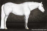 Horse Color:Gray White Spotted Blue Roan Splash Frame