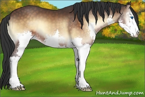 Horse Color:Brown Onyx Sabino Splash 