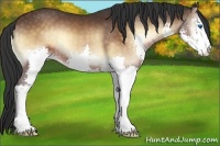 Horse Color:Brown Onyx Sabino Splash