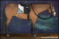 Horse Color:Brown Splash Rabicano