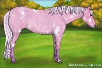 Horse Color:Watercolor White Spotted Silver Bay Roan 