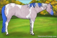 Horse Color:Watercolor Grullo Roan Tobiano