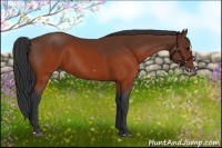 Horse Color:Brown Splash Frame Rabicano 