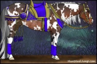 Horse Color:White Spotted Bay Rabicano