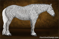 Horse Color:Gray Silver Brown Ice Rabicano
