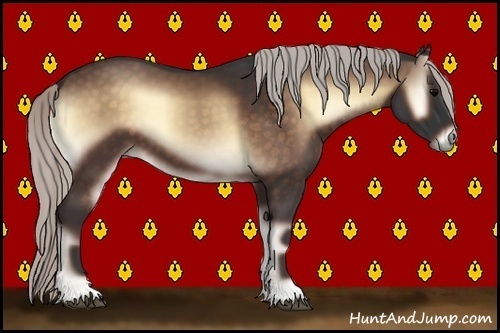Horse Color:Silver Bay Onyx 