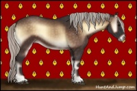 Horse Color:Silver Bay Onyx