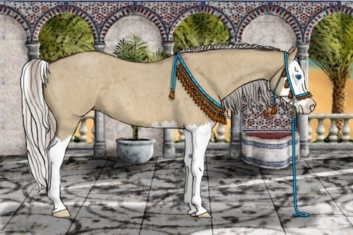 Horse Color:Silver Bay Roan Dun Splash 