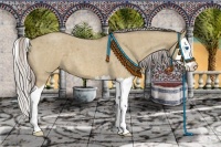 Horse Color:Silver Bay Roan Dun Splash 