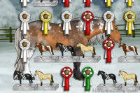 Horse Color:White Spotted Silver Buckskin 