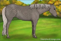 Horse Color:Silver Black 