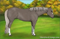 Horse Color:Silver Black 