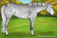 Horse Color:White Spotted Silver Grullo Chinchilla Ice Splash