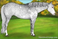 Horse Color:White Spotted Silver Grullo Chinchilla Splash 