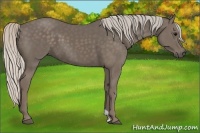 Horse Color:Silver Black 