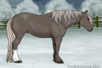 Horse Color:Silver Black 