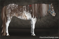 Horse Color:Chocolate Palomino Tobiano  and White Spotted Liver Chestnut Splash 