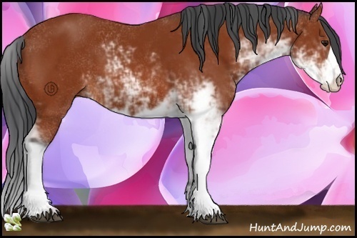 Horse Color:Bay Sabino 