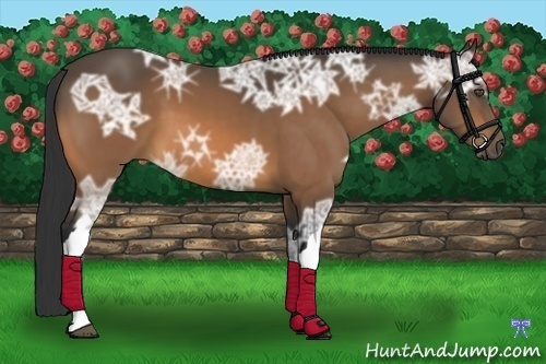 Horse Color:Buckskin Ice 