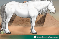 Horse Color:Brown Sabino 