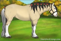 Horse Color:Buckskin Dun Splash 