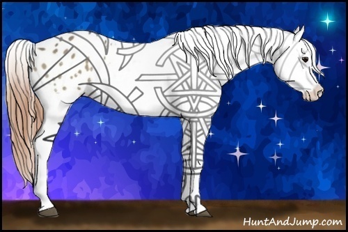 Horse Color:Buckskin Dun Splash Appaloosa 