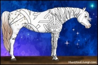 Horse Color:Buckskin Dun Splash Appaloosa