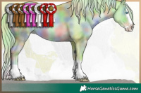 Horse Color:Nacre Watercolor Chocolate Palomino Pearl Splash