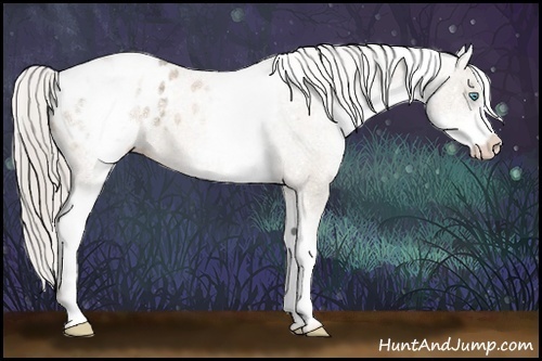 Horse Color:White Spotted Chocolate Palomino Ice Pearl Varnish 