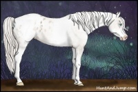 Horse Color:White Spotted Chocolate Palomino Ice Pearl Varnish