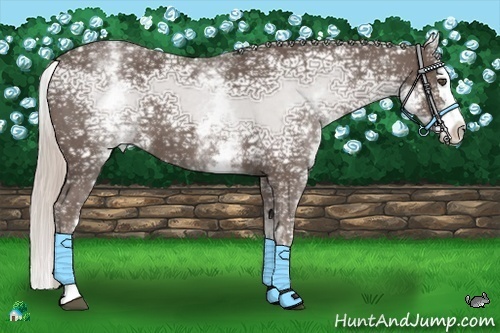 Horse Color:White Spotted Silver Blue Ice Roan Splash 
