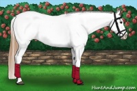 Horse Color:Smoky Black Tobiano Appaloosa 