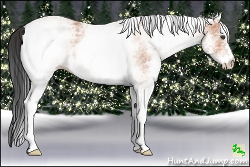Horse Color:White Spotted Bay Ice 