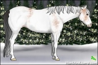 Horse Color:White Spotted Bay Ice