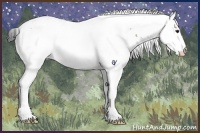Horse Color:White Spotted Bay Dun 