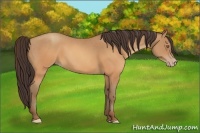 Horse Color:Sable Champagne