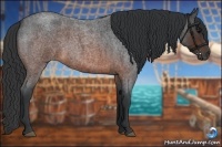 Horse Color:Brown Roan 