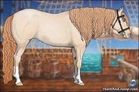 Horse Color:Buckskin Roan Pearl 